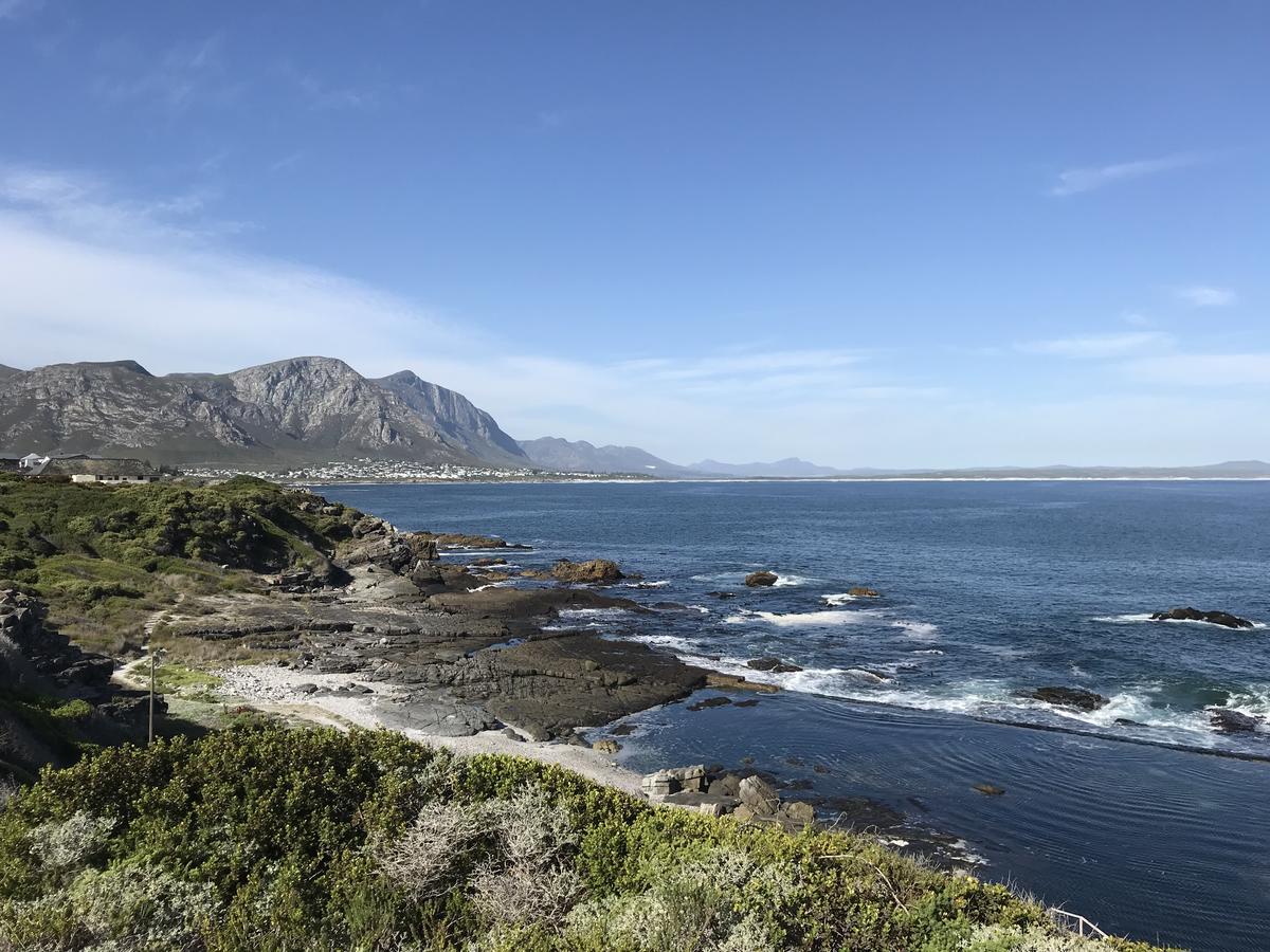 Francolin Manor Bed & Breakfast Hermanus Luaran gambar
