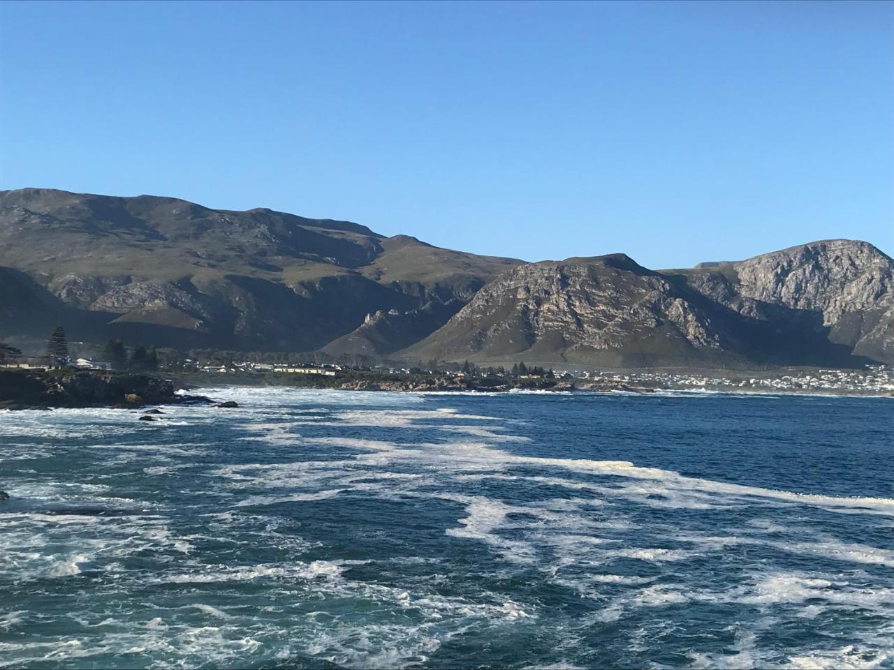 Francolin Manor Bed & Breakfast Hermanus Luaran gambar