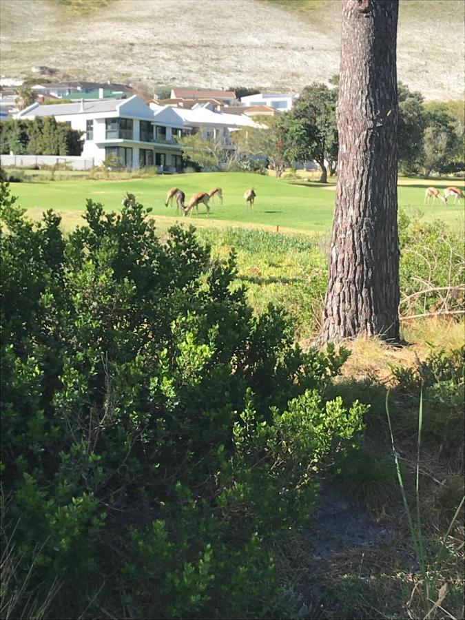 Francolin Manor Bed & Breakfast Hermanus Luaran gambar