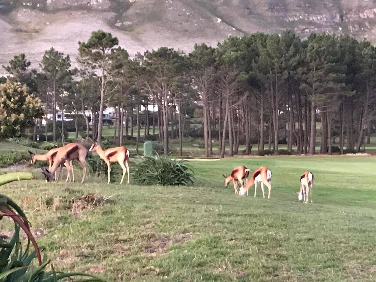 Francolin Manor Bed & Breakfast Hermanus Luaran gambar